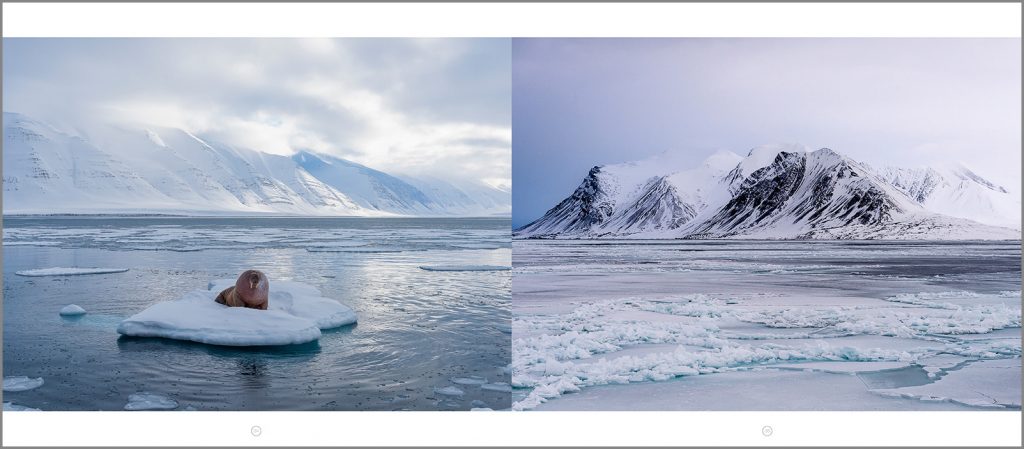 Philippe Bolle, photographie du Svalbard, Svalbard Expeditions, Arctic05, morse, paysage du Spitzberg, aventure photographique, livre polaire