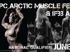 Arctic muscle fest, Alaska muscle, Anchorage, 2017 IFBB Arctic Pro Men's 212 & Women's Physique, USA, Arctic05, sports and fitness, musculation, body building, bikini
