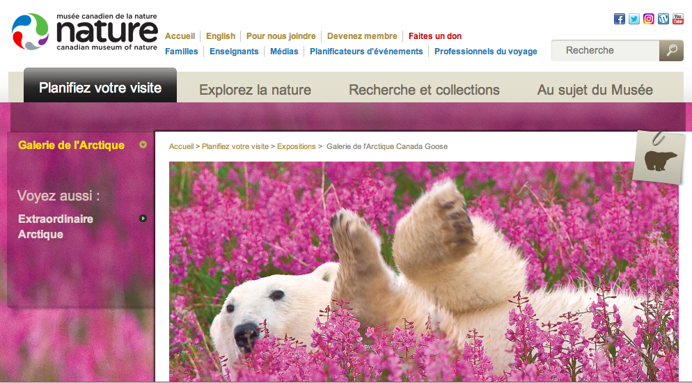 Musée canadien de la nature, galerie permanente de l'Arctique Canada Goose, Arctic05, Grand Nord canadien, Nunavut, Inuit, culture, ours polaire, eskimo power