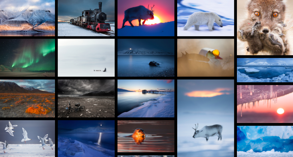 Stuart Thomson Photography, Svalbard portfolio, Long Year book, Arctic05, pictures of Spitsbergen, reindeer, polar fox, seal, lanscapes images, polar bear, midnight sun, tundra, pack ice