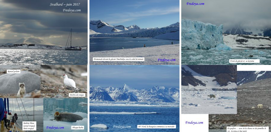 Fredoya, 2017, Svalbard, photo phoque, ours, glacier, arctic05, renard polaire, Spitzberg, Longyearbyen