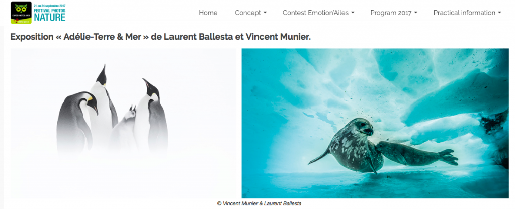 Exposition « Adélie-Terre & Mer » de Laurent Ballesta et Vincent Munier, Arctic05, Antarctique, film et photos polaires, iceberg, oiseaux, océan, faune et flore