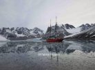 Patrick Reader Photography, Noorderlicht, Svalbard, Spitzberg, voile au Spitsbergen, goélette polaire, glace, ours, voyage, expédition, bateau,Arctic05, faune et flore, Baie de la Madeleine