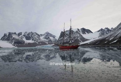Patrick Reader Photography, Noorderlicht, Svalbard, Spitzberg, voile au Spitsbergen, goélette polaire, glace, ours, voyage, expédition, bateau,Arctic05, faune et flore, Baie de la Madeleine