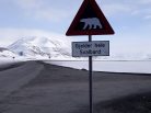 Svalbard, Polar bears, Longyearbyen, Arctic05, Norway, Russia, Pyramiden, Barentsburg, Grand Nord, North Pole, Pôle Nord, conquête de l'Arctique