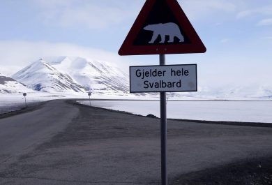 Svalbard, Polar bears, Longyearbyen, Arctic05, Norway, Russia, Pyramiden, Barentsburg, Grand Nord, North Pole, Pôle Nord, conquête de l'Arctique