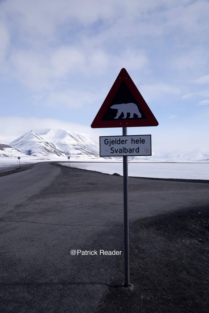 Svalbard, Polar bears, Longyearbyen, Arctic05, Norway, Russia, Pyramiden, Barentsburg, Grand Nord, North Pole, Pôle Nord, conquête de l'Arctique