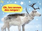 Wakou, Noël, Rennes, magazine enfants, 4 à 8 ans, neige, Grand Nord, Caribous, Père Noël, Arctic05, traineaux, transhumance, cariboux