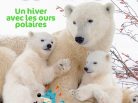 Wakou, magazine kids, Un hiver avec les ours polaires, Milan éditions, Arctic05, ours blanc, grand nord, banquise, enfants, animaux du froid
